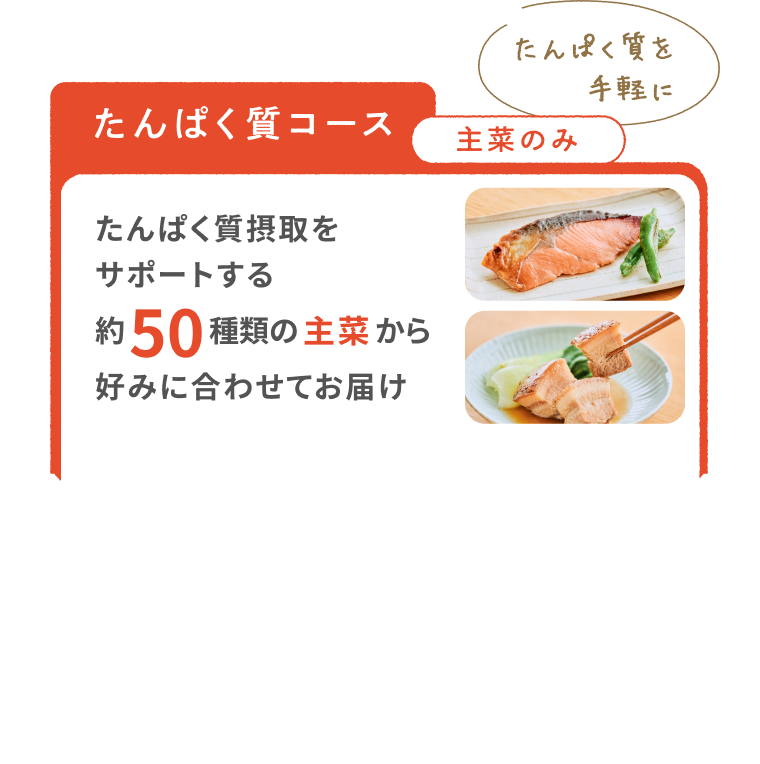 タンパク質コース
