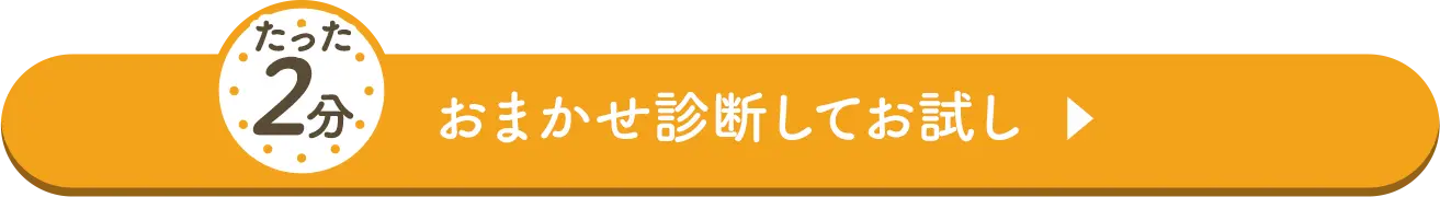 たった2分おまかせ診断して申し込む
