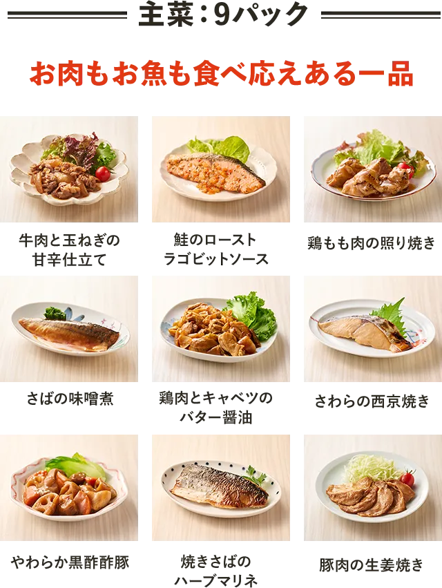 主菜:9パック