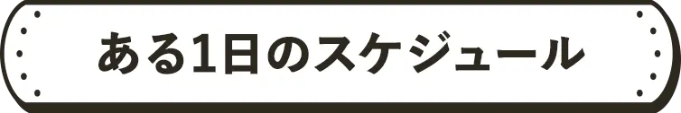 ある1日のスケジュール