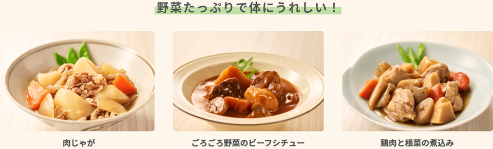 肉じゃが ごろごろ野菜のビーフシチュー 鶏肉と根菜の煮込み