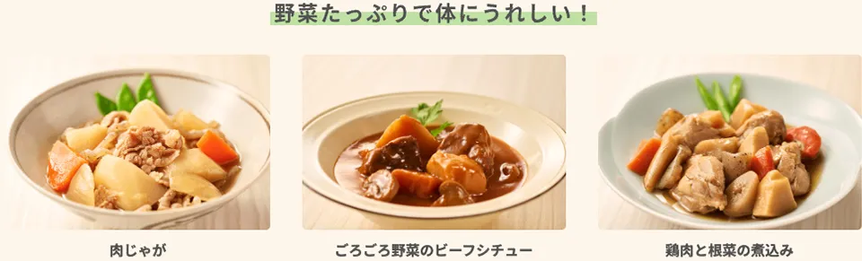 肉じゃが ごろごろ野菜のビーフシチュー 鶏肉と根菜の煮込み