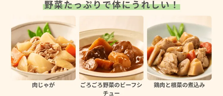 肉じゃが ごろごろ野菜のビーフシチュー 鶏肉と根菜の煮込み